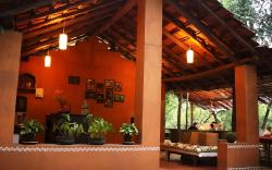 Natures Nest Resort