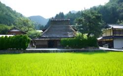 Miyama Futon & Breakfast Thatched Cottages