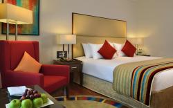 Park Plaza Chandigarh Zirakpur