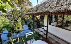 Noahs Nest Tree house