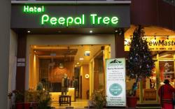Hotel peepal tree
