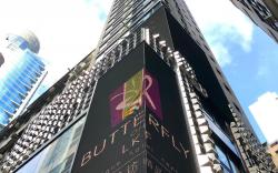 Butterfly on LKF, Central 