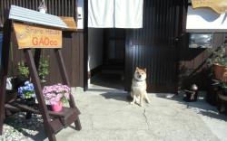 Kanazawa Share House GAOoo