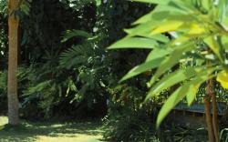 Ijen Estate Resort And Villa