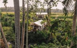 Camani Glamping