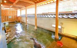 Ooedo Onsen Monogatari Hotel Shinko