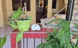 Cozy studio perfect for backpackers or couples!