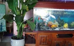 nhà nghỉ Hằng Nga
