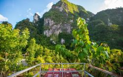 The Camper Lodge, Khao Sok