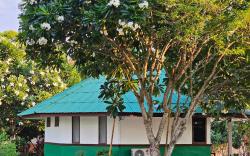 Holiday Resort Rimping