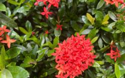 เวียงคำปาย รีสอร์ท ( WiangKumPai Resort )