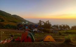 Baan Phak Plaithang  @Phu Thap Buek