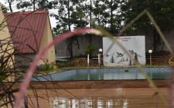 Green Orchid Resort and farm