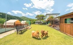 HongCheon Casa Pellis Pet Private Pesion