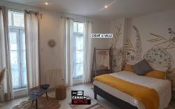 Les Arcades Studio Coeur De Ville, Cholet, Wi-fi, Netflix, Canal