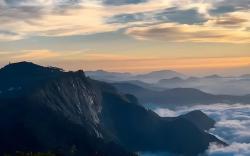 Vattakanal Homestays & BnBs