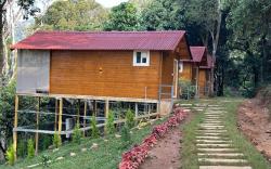 Coorg Jungle Mist