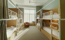 Drifter Christchurch