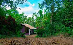 Mithila Nature Stay - Agumbe Homestay
