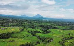 Bhuana Agung Villa and Restaurant jatiluwih 