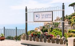 La Vigna di Bacco