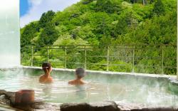 Ooedo Onsen Monogatari Higashiyama Grand Hotel