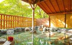 Ooedo Onsen Monogatari Hotel Kinugawa Gyoen