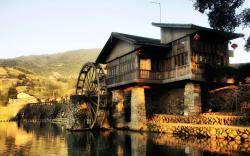 Floral Luxury Nanjing Tulou Chazhiyun Guesthouse