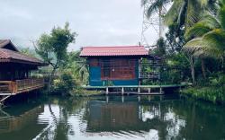 House with a View of the Fields-4