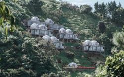 Damar Langit Resort
