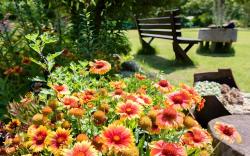 Samcheok Ttrak Pension