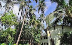 Swamichhaya Resort Alibaug