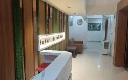 Hotel Green Park - Sector 11