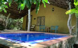 Wild Wadi Wilpattu