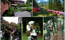 The Pinewood Lodge & Organic Farm