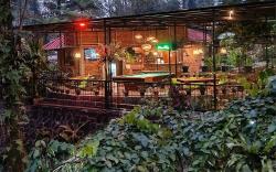 The Pinewood Lodge & Organic Farm