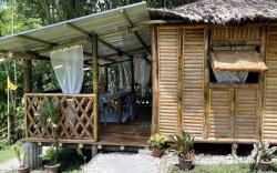 The Native House