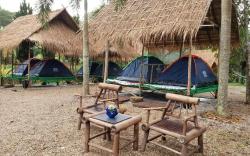Tent Stay in Chiang Rai