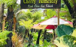 Cherry homestay.bmt