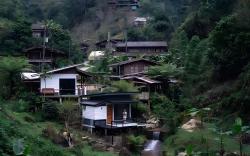 Udom Homestay & Coffee Farm