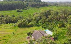 Artist Villa 4BR Dandan Bukit Tranquil View