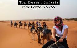 Merzouga Camel Ride & Overnight Desert Camp