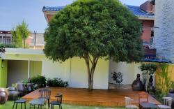 Suncheon Daoljae Hanok Pension