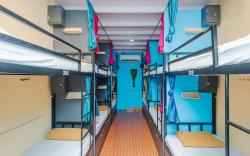 Hangout Dormitory  Male & Female