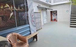 Fourseason frankcottage