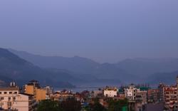 Shekhar's Place