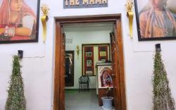 The Mama Udaipur