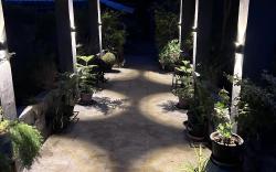 Wilderness Jungle Camp