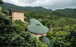 THE VIOLET THEKKADY