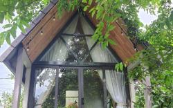 Buon's Garden